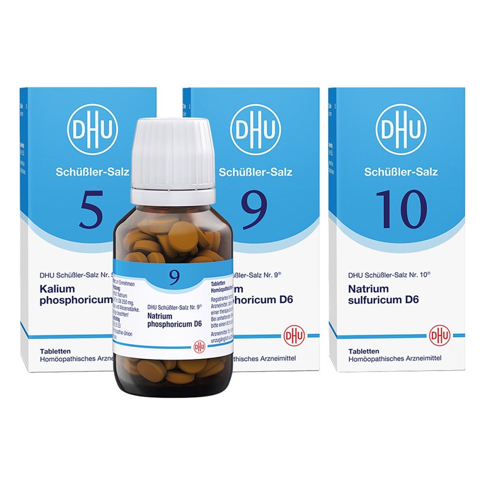 DHU-Arzneimittel GmbH & Co. KG DHU Frühjahrs-Kur 5-9-10 08101310