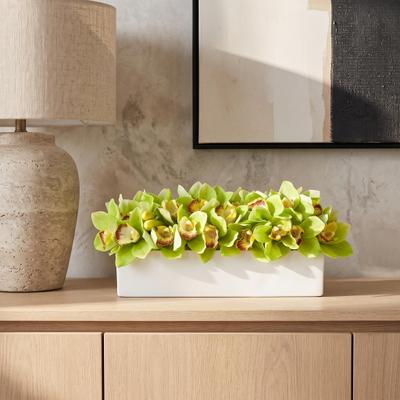Creative Labs Orchids in Fiberstone Planter