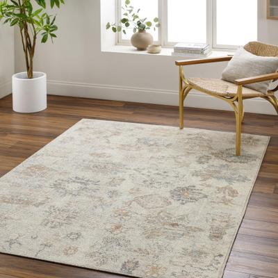 Our PNW Home x Livabliss Olympic Updated Traditional Area Rug