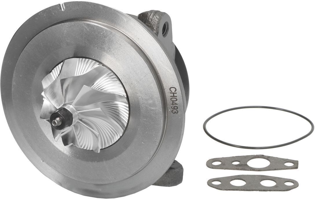 Patrone/CHRA/Core Assy EVORON EVCH0493