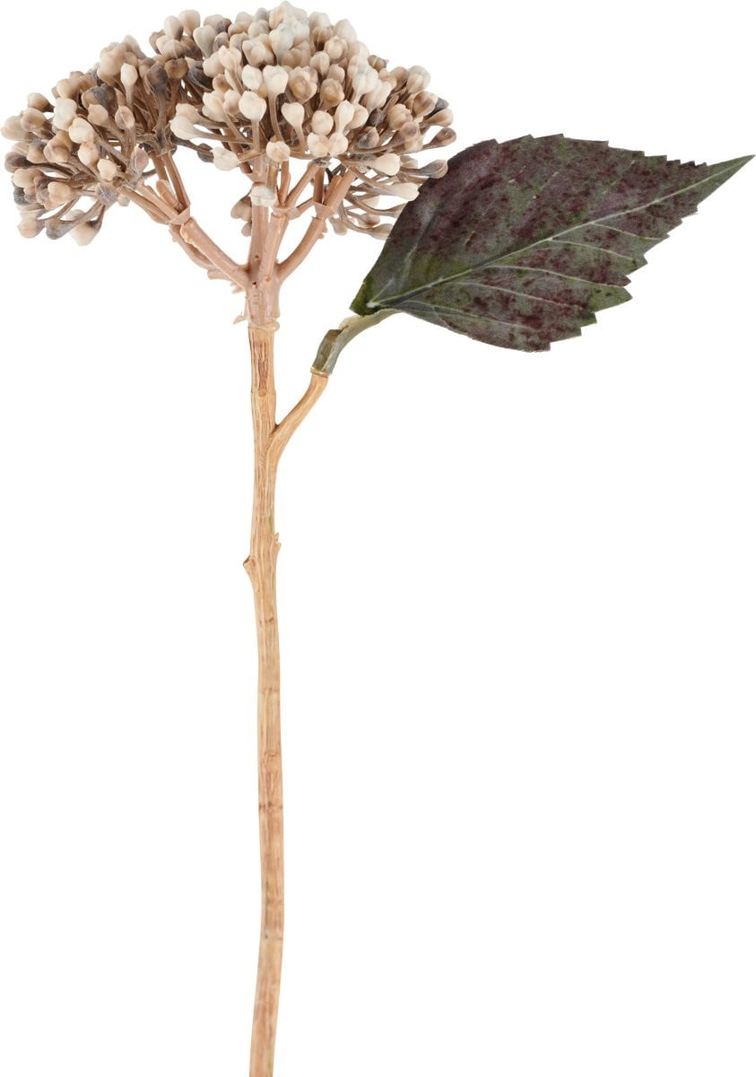 Easyplants Kunstbloem Gedroogde Hortensia Creme/Bruin 38 cm