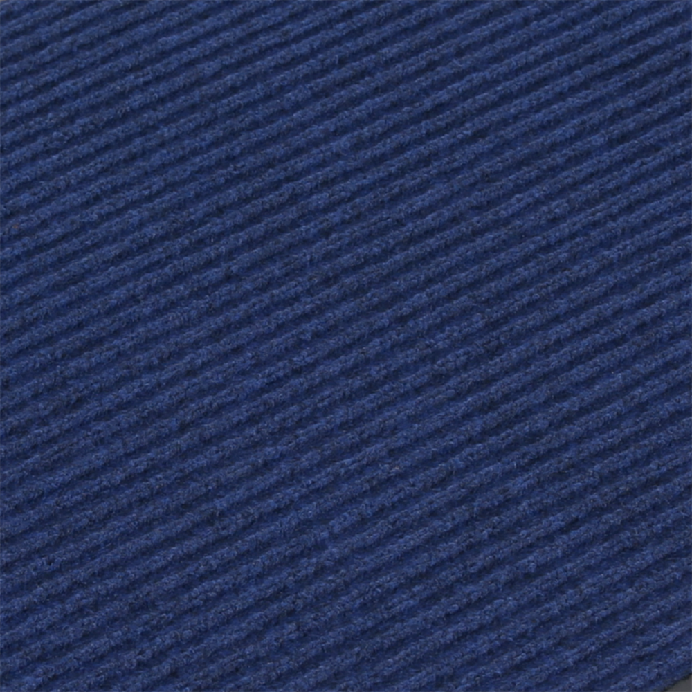 B2B Partner Widerstandsfähige Eingangsmatte mit PVC 1+1 GRATIS, 60 x 90 cm, blau