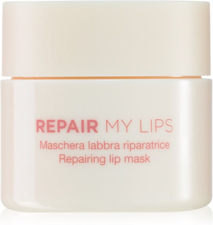Diego dalla Palma REPAIR MY LIPS hydrating lip mask 25 ml