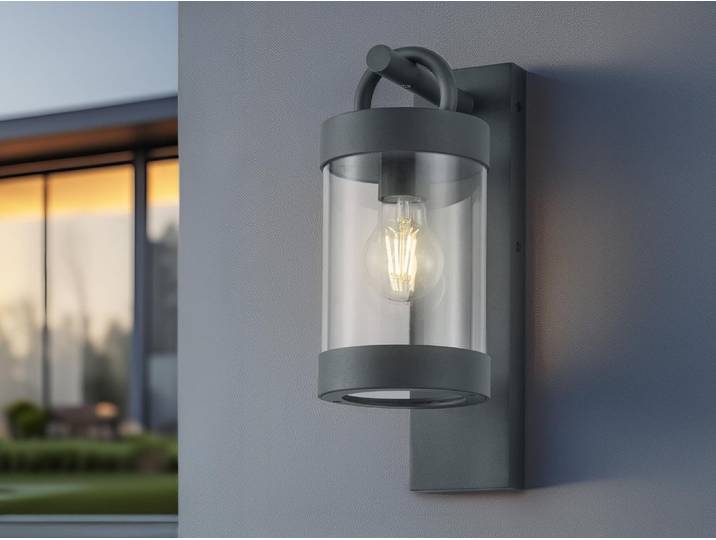 TRIO Wandleuchte Sambesi IP44204160142E27 max 28W mit DAE-Sensor