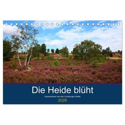 Die Heide blüht (Tischkalender 2026 DIN A5 quer), CALVENDO Monatskalender