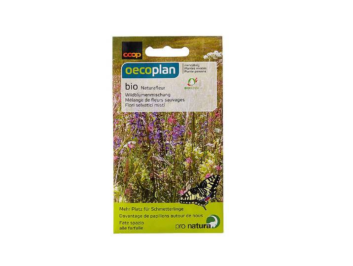 Oecoplan Bio-Samen Wildblumenmischung 1.5 g 5 m²