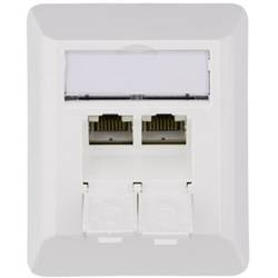Telegärtner Netzwerkdose Aufputz CAT 6a 2 Port Alpinweiß 100023002