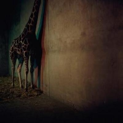 Alien Ensemble: Alien Ensemble 2 - Alien Ensemble, CD