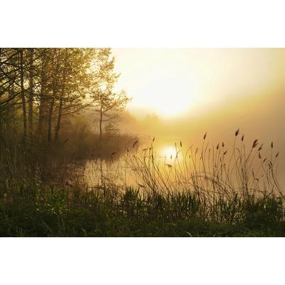 Fototapete PAPERMOON "Nebelwaldsee", bunt, B:2m L:1,49m, Vlies, Tapeten