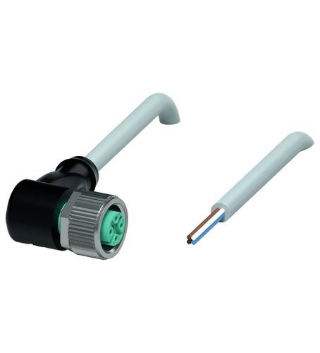 Pepperl+Fuchs 239999-100049 Sensor-/Aktor-Steckverbinder, konfektioniert 70m Polzahl Sensoren: 4 1St.