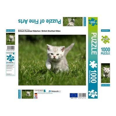 CALVENDO Puzzle Britisch Kurzhaar Kätzchen / British Shorthair Kitten | 1000 Teile Lege-Größe 64x48cm Foto-Puzzle für glückliche Stunden
