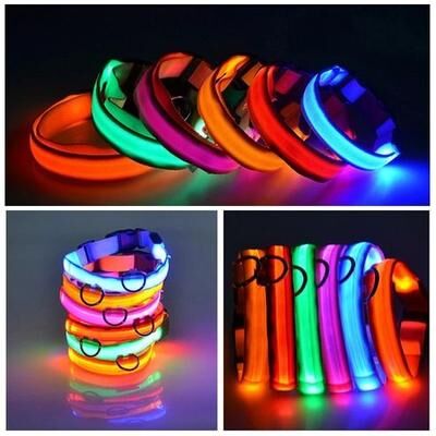 The Cart Load Waterproof LED Dog Collar, Blinking Flashing Light Up Glow For Pets, Adjustable, Enhanced Safety At Night orange xl