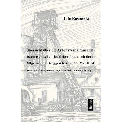 Übersicht über die Arbeitsverhältnisse im österreichischen Kohlebergbau nach dem Allgemeinen Berggesetz von 23. Mai 1854, Taschenbuch von Udo