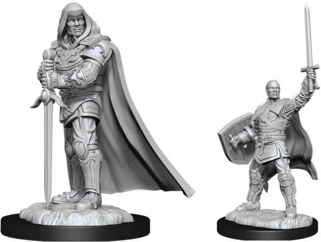 Wiz Kids LLC D&D; Nolzur's Marvelous Miniatures: Human Paladin Male, Unpainted and Primed for Custom Painting, Tabletop Roleplaying Miniature
