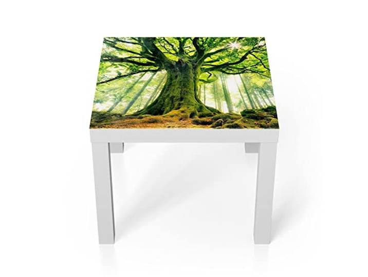 DEQORI Glastisch weiß klein 55x55 cm Motiv Eindrucksvoller Baum ausgefallener Beistelltisch aus Glas Hochglanz Couchtisch fürs Wohnzimmer moderner Couch Tisch mit Design