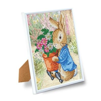 Craft Buddy CAM-PRBT01 - Peter Rabbit, Crystal Art Frame Kit 21x25cm