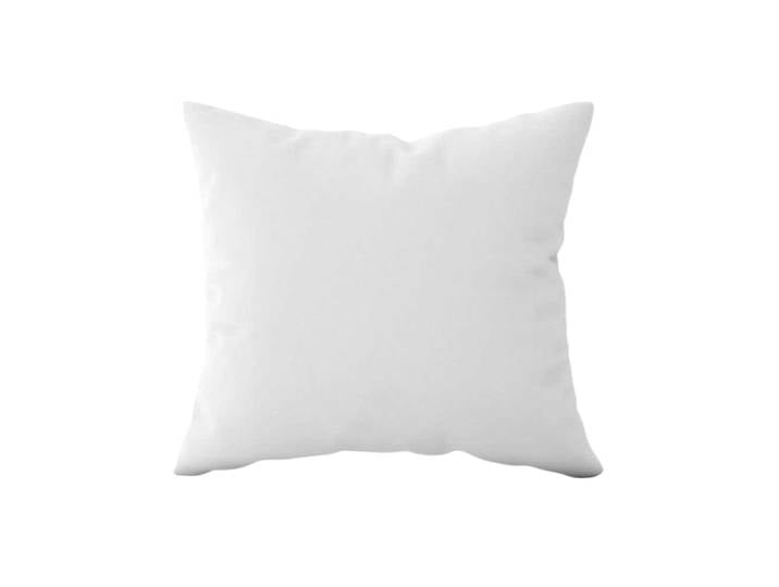 Oreiller souple en duvet et plumettes neuves 65x65 cm