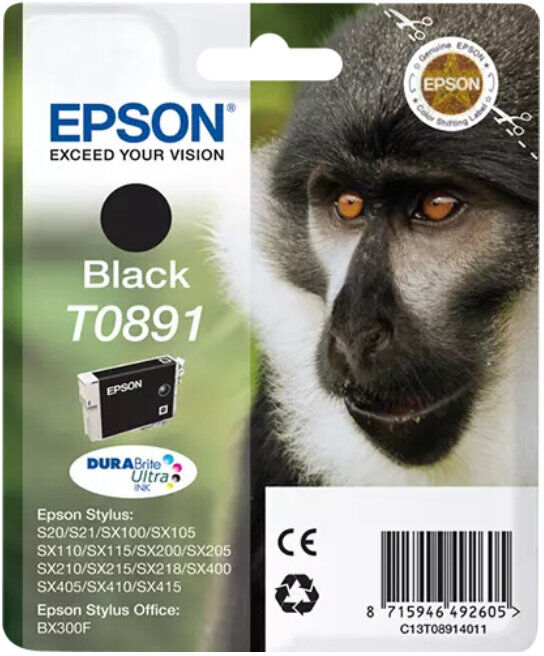 TINTEIRO EPSON T0891