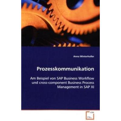 Winterholler Anna: Prozesskommunikation, Taschenbuch von Anna Winterholler, VDM, 978-3-639-07642-4