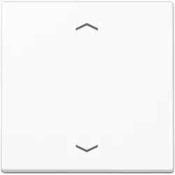 Jung Steuertaste Standard A 1700 BFP WW