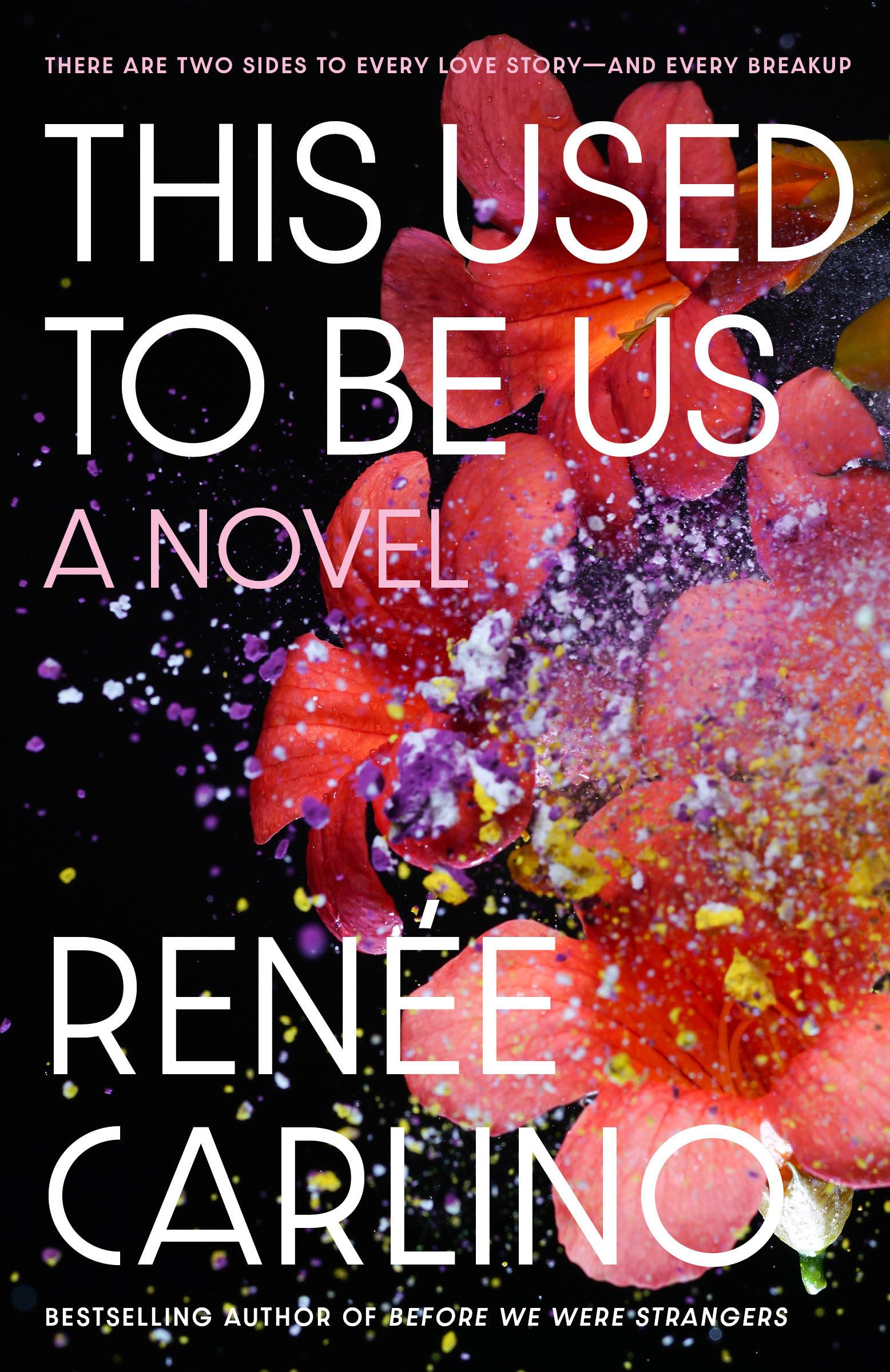 Renée Carlino - This Used to Be Us: A Novel - Preis vom 04.10.2026 03:51:26 h