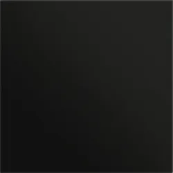 Gira 5554925 Frontplatte Info-/ Blindmodul System 106 Schwarz matt