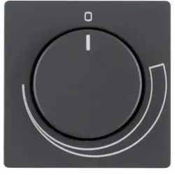 Berker Zentralstück anth/sa 11376076