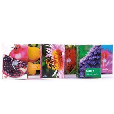 Taschentücher Pocket Flora 336x7 St Tücher