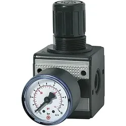 RIEGLER Druckregler MULTIFIX 6000 L/min mit Manometer 0,5-10 bar G 1/4"