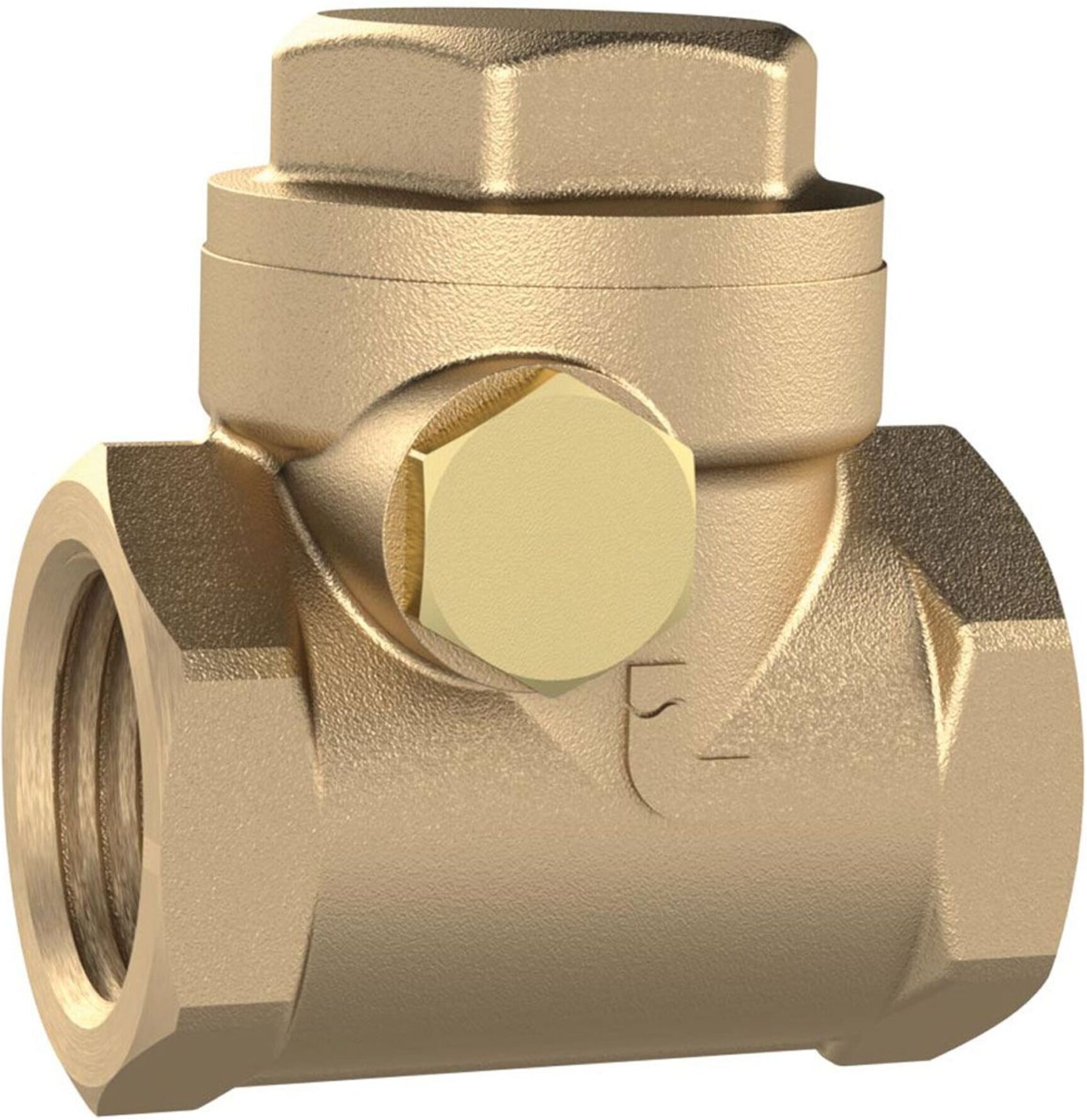 Riegler Rückschlagklappe, DN 50, Messing, G 2, PN max. 10 bar (RK2MSE)