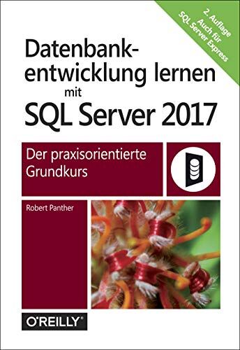 Robert Panther - Datenbankentwicklung lernen mit SQL Server 2017: Der praxisorientierte Grundkurs - Preis vom 01.10.2026 17:08:56 h