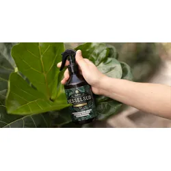 Restberry ́s Nesselsud