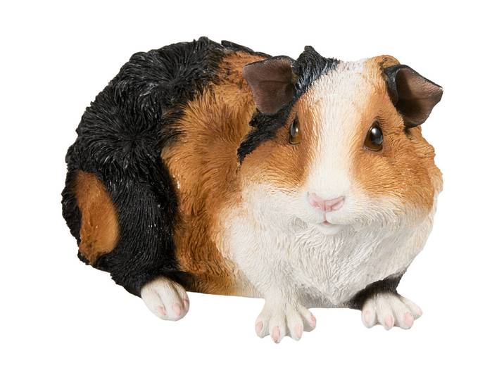 Vivid Meerschweinchen Letty 23 x 14.5 x 13.5 cm