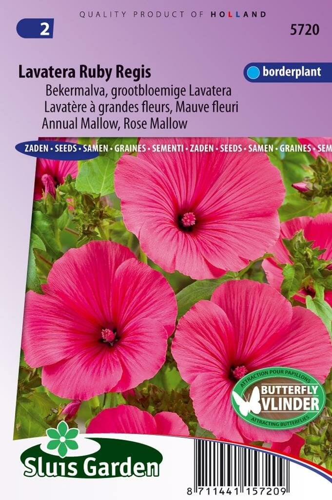 Lavatera Trimestris zaden Ruby Regis van Sluis Garden