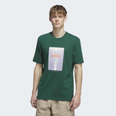 T-Shirt ADIDAS SPORTSWEAR "WATERFALL GRAFIK", Herren, Gr. M, grün (collegiate grün), Obermaterial: 100% Baumwolle, Rundhals, Shirts T-Shirt, für Erwachsene