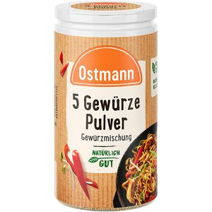 Ostmann Gewürzmischung 5 Gewürze Pulver, ohne Salz, für asiatische Gerichte, vegan, im Streuer, 30 g