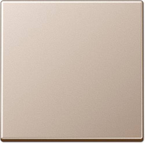 Jung 1fach Einsatz Taster Champagner A590CH 1St.