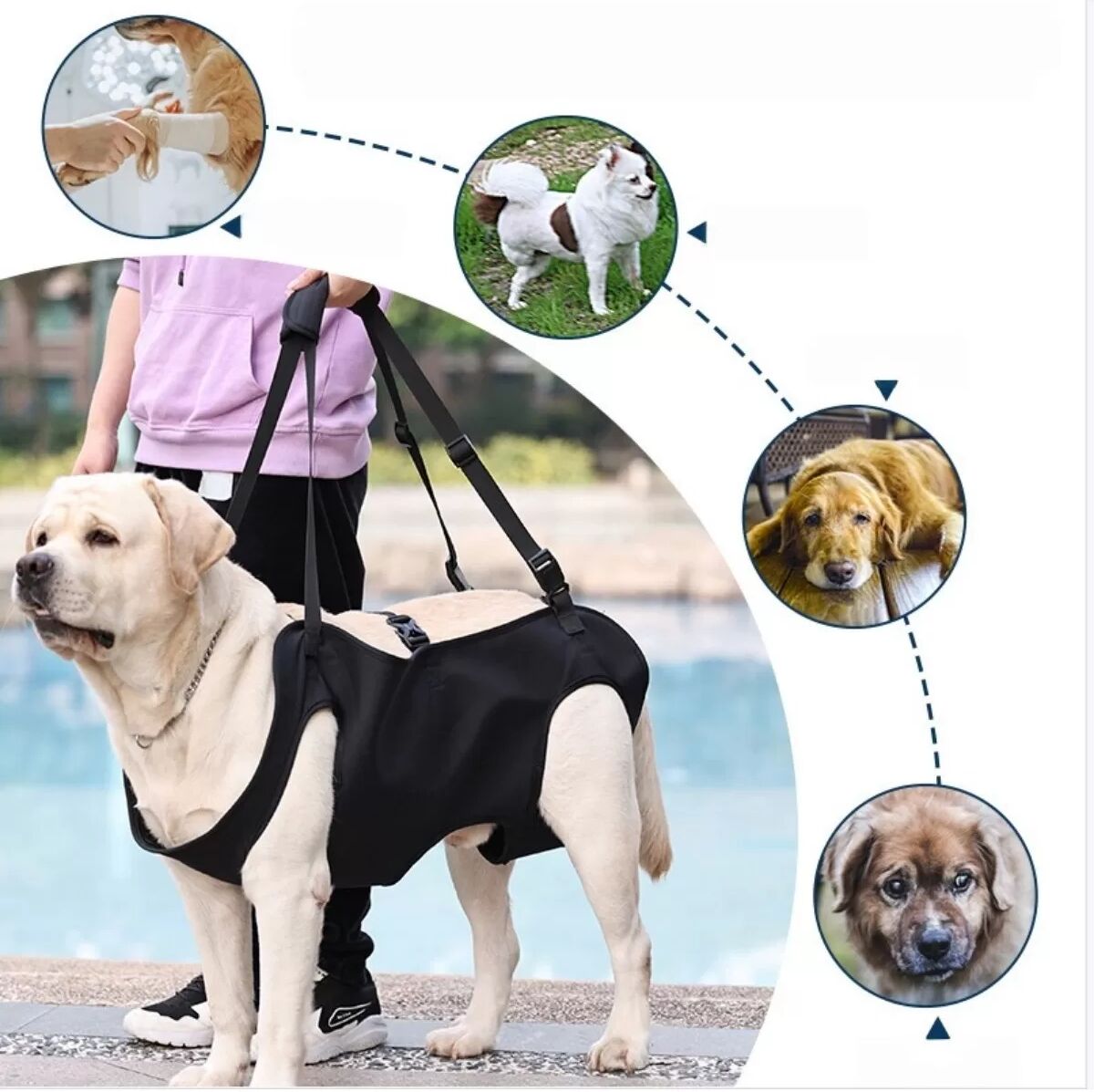 INF Hund Hinteres Unterstützungsgeschirr Mobilität - Oxfordstoff Hebeschlinge für Senior, Verletzte und Post-OP Hunde, Schwarz XL