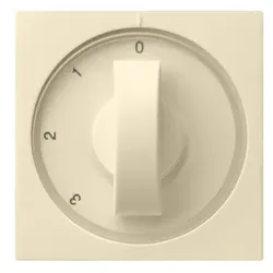 Gira Zentralplatte cws-gl 066901