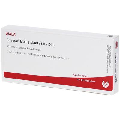 Viscum Mali e planta tota D 30 Ampullen 10x1 ml