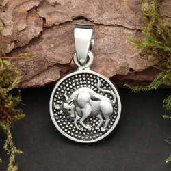 Drachensilber Stier Schmuck Astrologie Sternzeichen 925 Silber Anhänger Schmuck - Silber