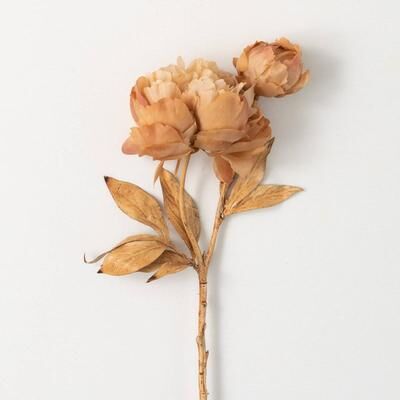 Classic Touch "22"" Cream Blooming Peony Stem"