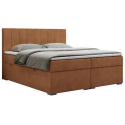 BOXBETT LOPE 200/200 - Orange Strukture - H3