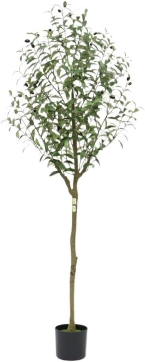 Kunstplant Olijfboom - Groen - Hoogte: 150 cm