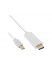 InLine Video- / Audiokabel DisplayPort / HDMI Mini M bis M 1 m weiß 4K Unterstützung (17171I)