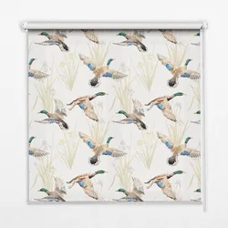 INNENROLLO - Fensterrollo - Rollo - 130x140 cm - Fliegende Enten
