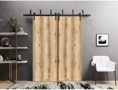 SARTODOORS Planum 0010 Oak Wood Barn Bypass Doors