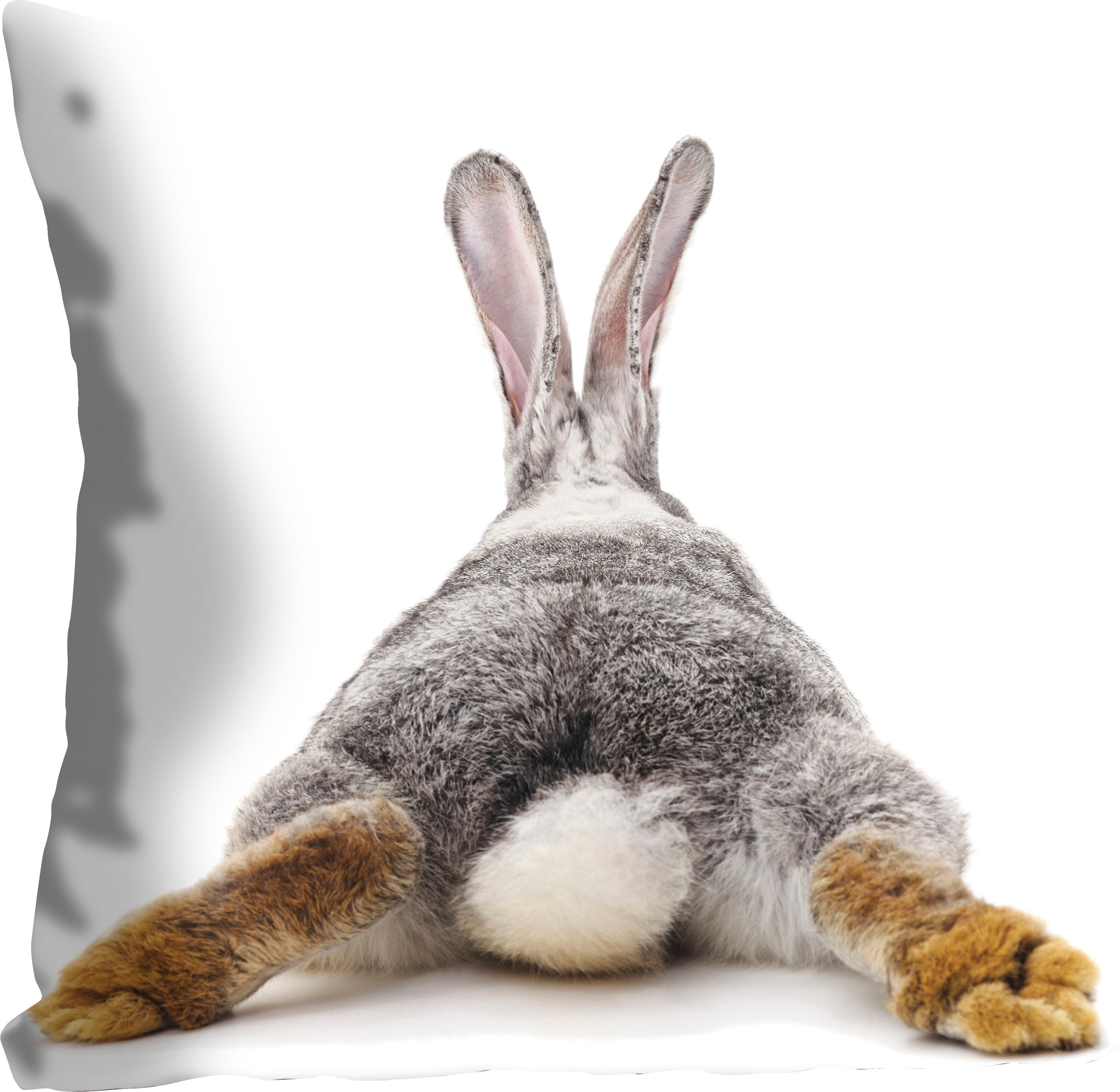 Dekokissen QUEENCE "Rabbit Tail", grau (grau, bedruckt), B:40cm L:40cm, Polyester, Dekokissen_Sitzkissen_Kissenhüllen, Dekokissen, mit einem Hasenschwanz grau, bedruckt B/L: 40cm x 40cm, 1 Stk.
