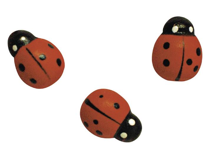 Rayher Holzstreuteile Marienkäfer 1.5 cm 24 Stück