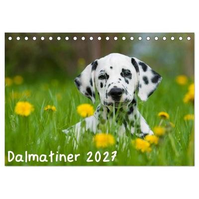 Dalmatiner 2027 (Tischkalender 2027 DIN A5 quer), CALVENDO Monatskalender